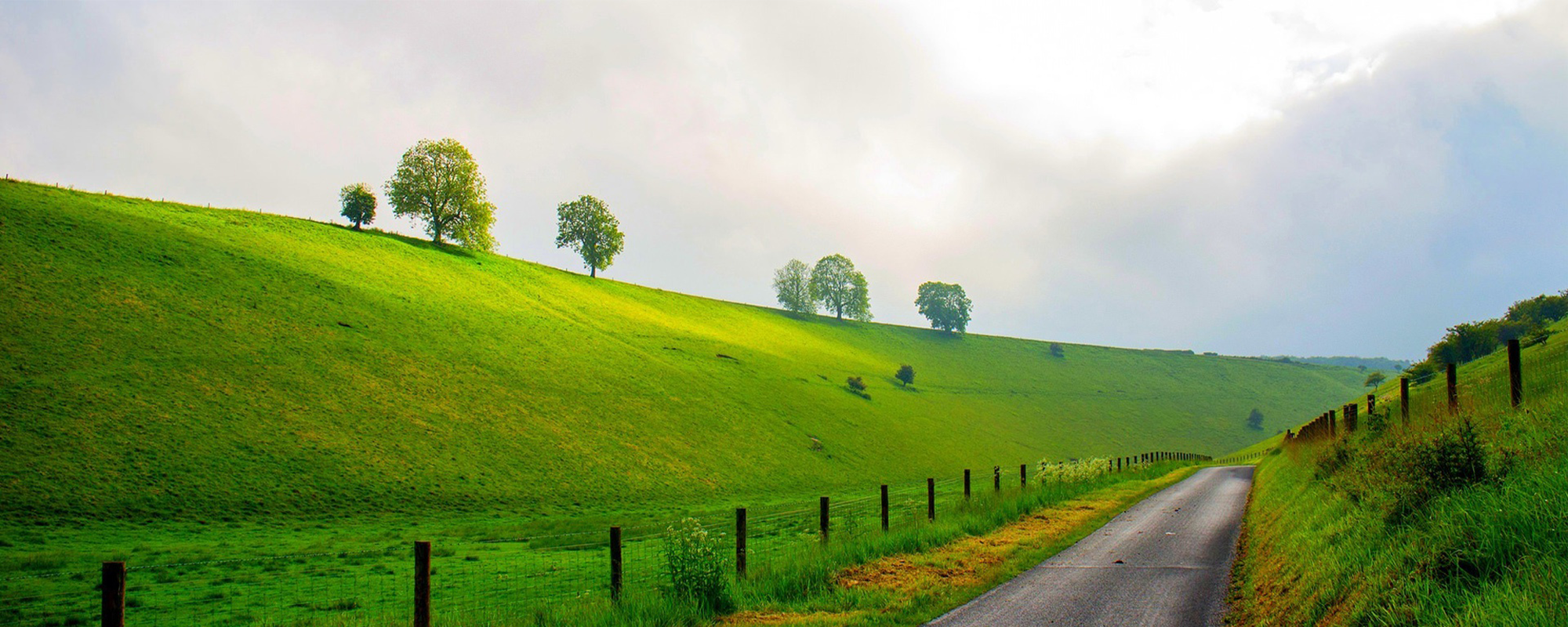 深渊技术网 - 探索前沿科技，汇聚经典技术